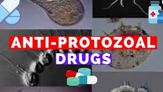 Antiprotozoal Drugs  Metronidazole Bactrim Suramin Pentamidine Eflornithine Fansidar [upl. by Anirtik]