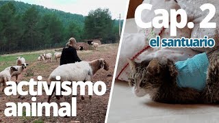 Activismo animal Cap 2 El Santuario [upl. by Ognimod]