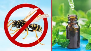 10 Natural Ways To Repel Wasps [upl. by Adnir]