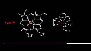 CYP2E1 Mechanism Oxidation of Ethanol to Acetaldehyde [upl. by Nork943]