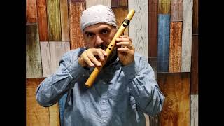 How to Play the Native American Flute in under 10 minutes EASY Lesson 1 [upl. by Bedwell]