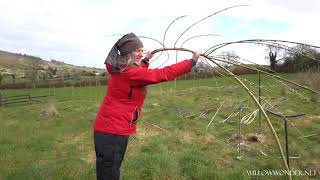 Planting a living willow Dome [upl. by Nicoli]