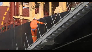 1310 Safe Gangway and Ladder Operations Edition 2  Trailer [upl. by Johnstone]