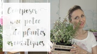 Comment associer les plantes aromatiques   SERIE Aromatiques en pot [upl. by Sitoiyanap]