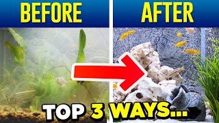 Crystal Clear Aquarium Water  Top 3 Tips SIMPLE [upl. by Nileek]