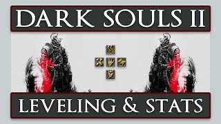 Dark Souls II  In Depth Leveling Guide amp Stats Explanation [upl. by Oilegor]