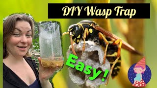 DIY Wasp Trap [upl. by Kowtko686]