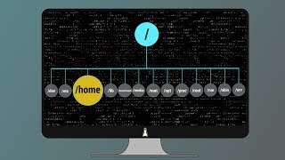 05 Linux Root Folders Explained [upl. by Zailer]