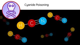 Cyanide Poisoning  HCN a deadly poison  Biology revision video  GCSE A Level University [upl. by Yanahc601]