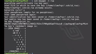 How to Generate SSH Keys [upl. by Tlevesor]