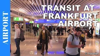 TRANSIT WALK AT FRANKFURT Airport FRA Terminal 1  Connection Flight Transfer Arriving amp Departing [upl. by Kcirdec]