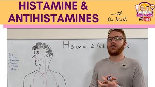 Histamine and Antihistamines Meds [upl. by Pierce]