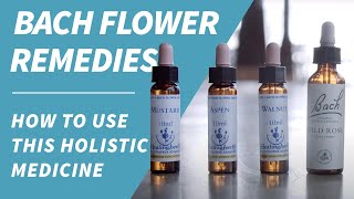 Bach Flower Remedies  How to use this holistic medicine for wellness [upl. by Wilfrid]