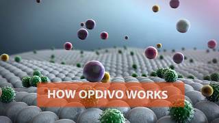 New Immunotherapy Cancer Treatment Opdivo nivolumab [upl. by Borchers421]