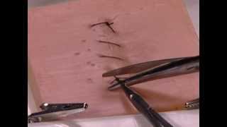 How to Perform a Simple Running Skin Closure suture travel on top [upl. by Niatsirk]