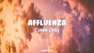 Conan Gray  Affluenza Lyrics [upl. by Ayotac545]