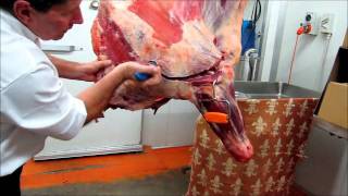 Part 1  How to bone a Forequarter of beef demonstration by Master Butcher Michael Cross [upl. by Ailati]