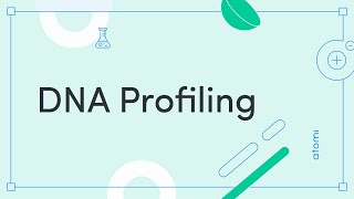 Y1112 Biology DNA Profiling [upl. by Grega]