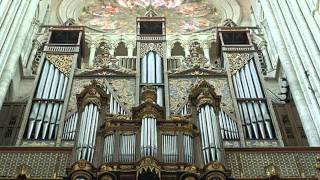 Pipe Organs  Magnificent Instruments [upl. by Croft]