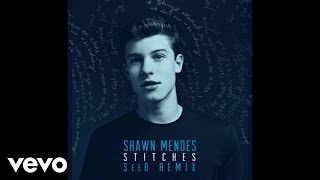 Shawn Mendes  Stitches SeeB Remix  Official Audio [upl. by Haneekas]